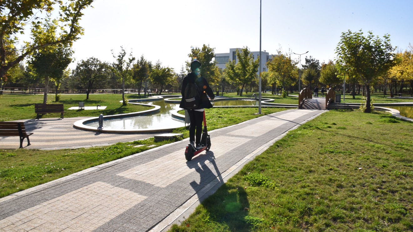 Selcuk University campus ranks the greenest 431st campus in the world
