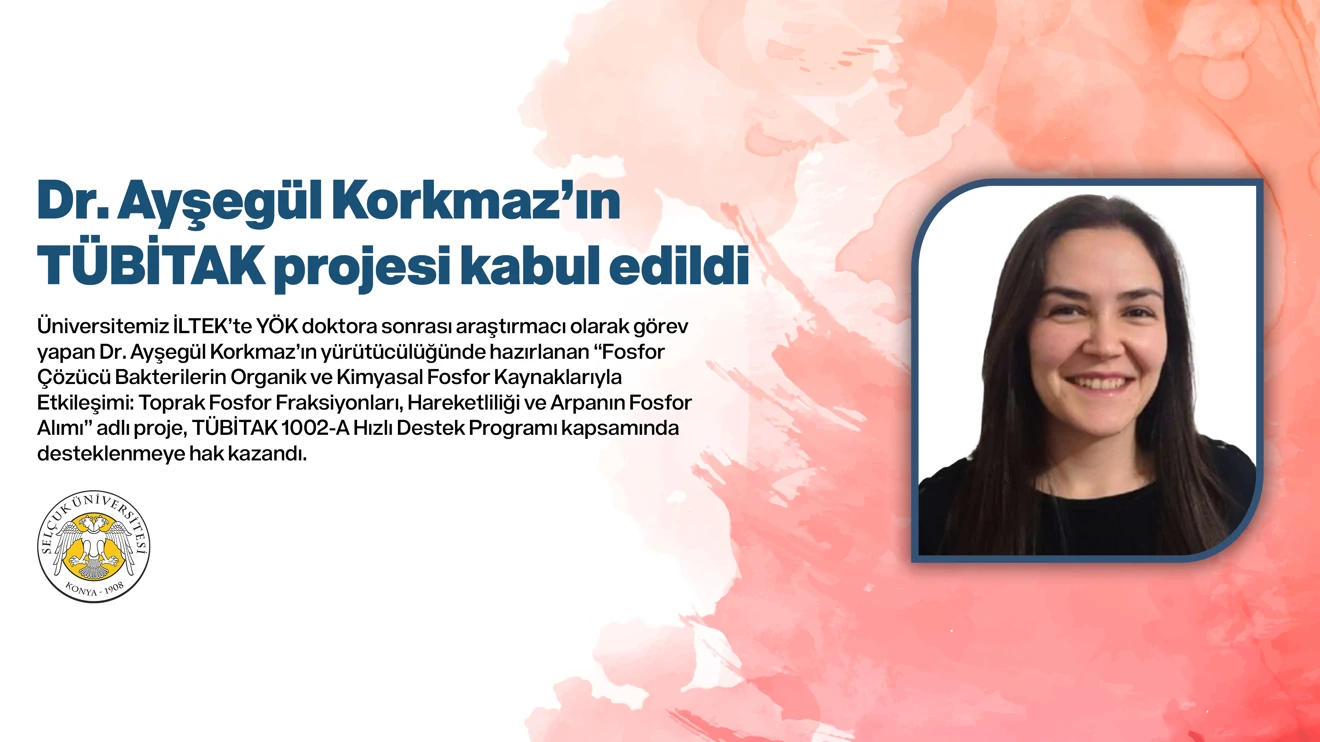 Dr. Ayşegül Korkmaz’ın TÜBİTAK projesi kabul edildi