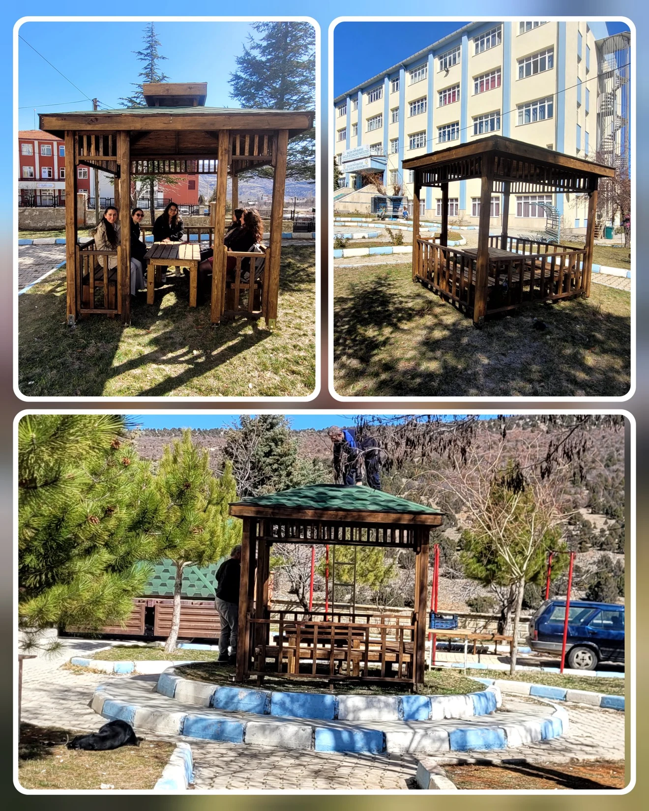 Bahçemize Yeni Kamelyalar.