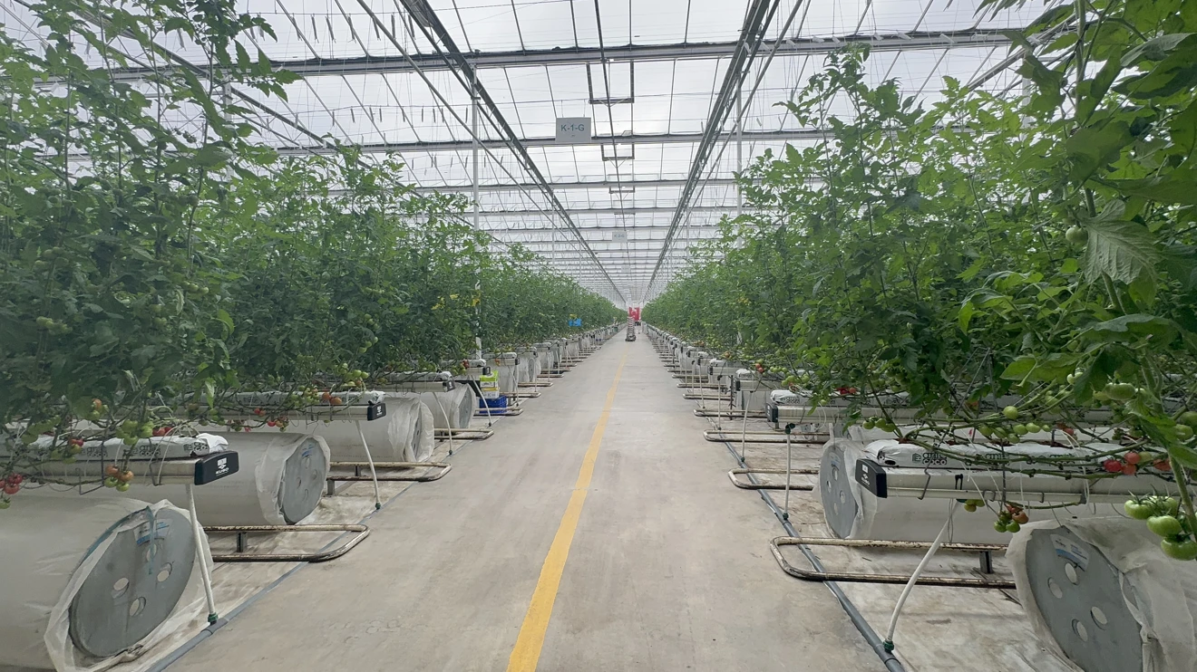 ÇUMRA ŞEKER ENTEGRE TESİSLERİNE TEKNİK GEZİ 