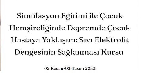 Simülasyon Eğitimi ile Çocuk Hemşireliğinde Depremde Çocuk Hastaya Yaklaşım: Sıvı Elektrolit Dengesinin Sağlanması Kursu