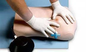 Eğitimler - Toplantılar