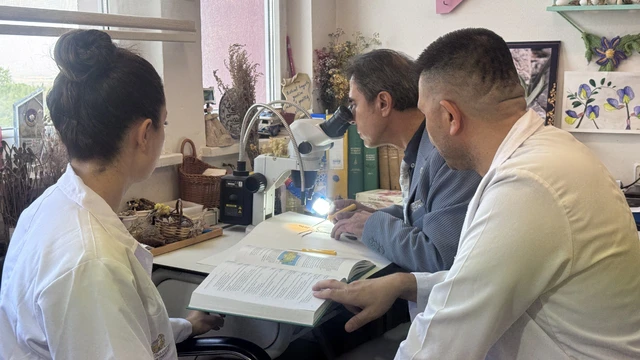 Konya'da keşfedilen yeni bitki türü "Konya Sümbülü" ismiyle literatüre kazandırıldı