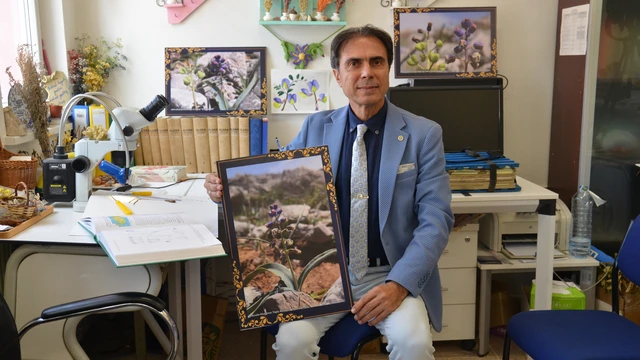 Konya'da keşfedilen yeni bitki türü "Konya Sümbülü" ismiyle literatüre kazandırıldı