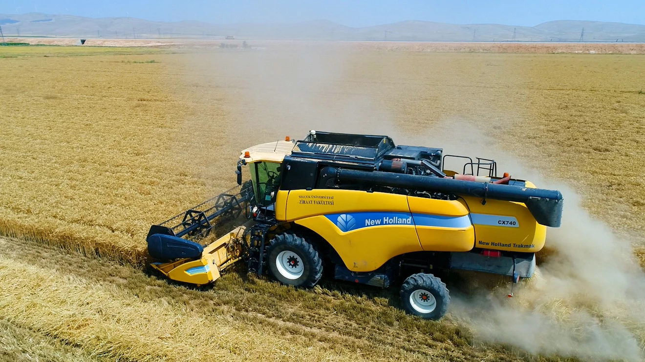 Selçuk Üniversitesi Sarıcalar Araştırma ve Uygulama Çiftliği’nde Buğday Hasadı Başladı
