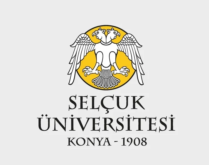 Enstitiü Rehberi