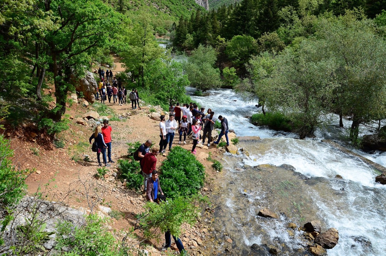Aygır Pınarını, Gölcük Yaylası ve Kuğulu Park Gezisi