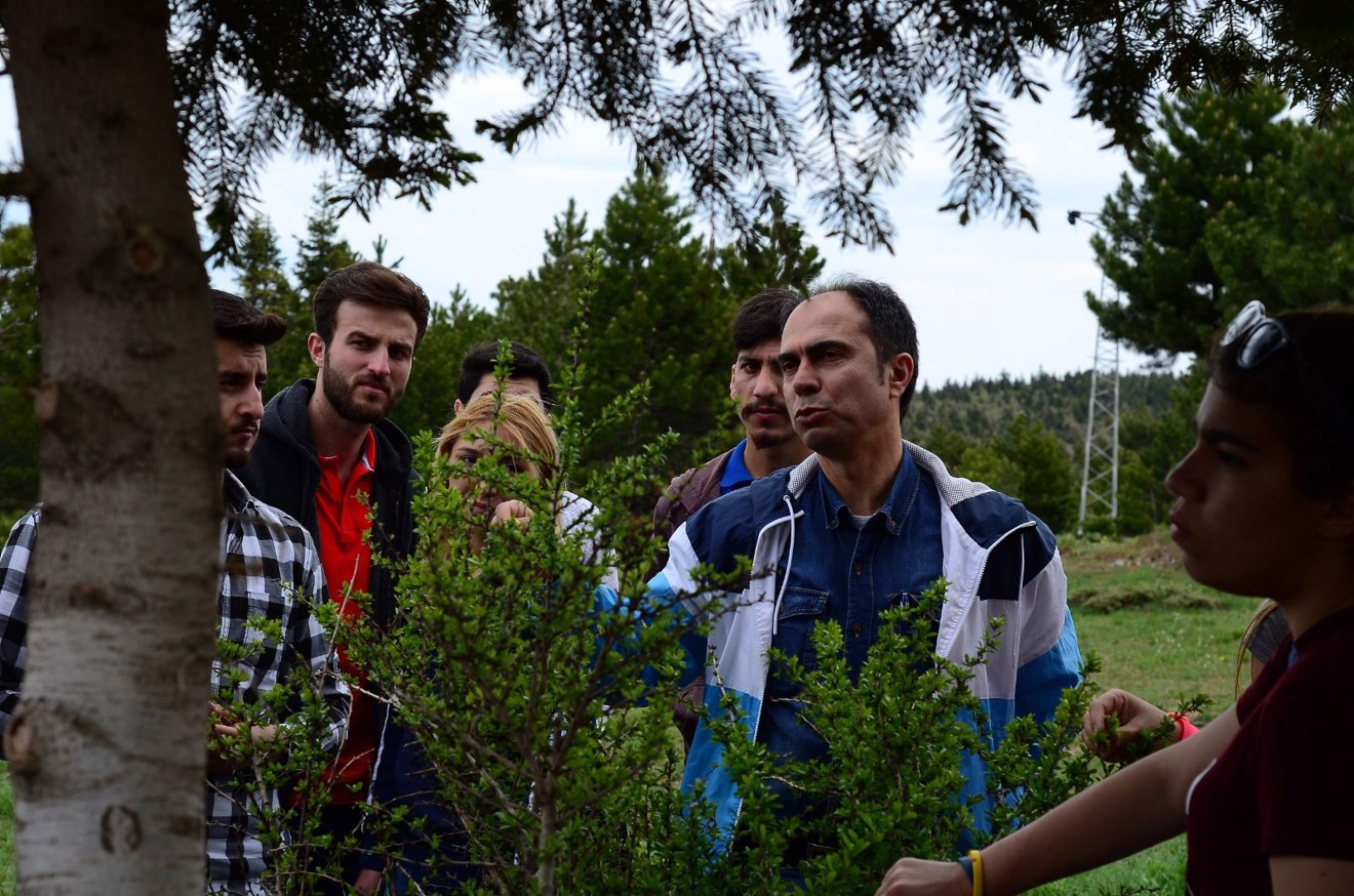 Aygır Pınarını, Gölcük Yaylası ve Kuğulu Park Gezisi
