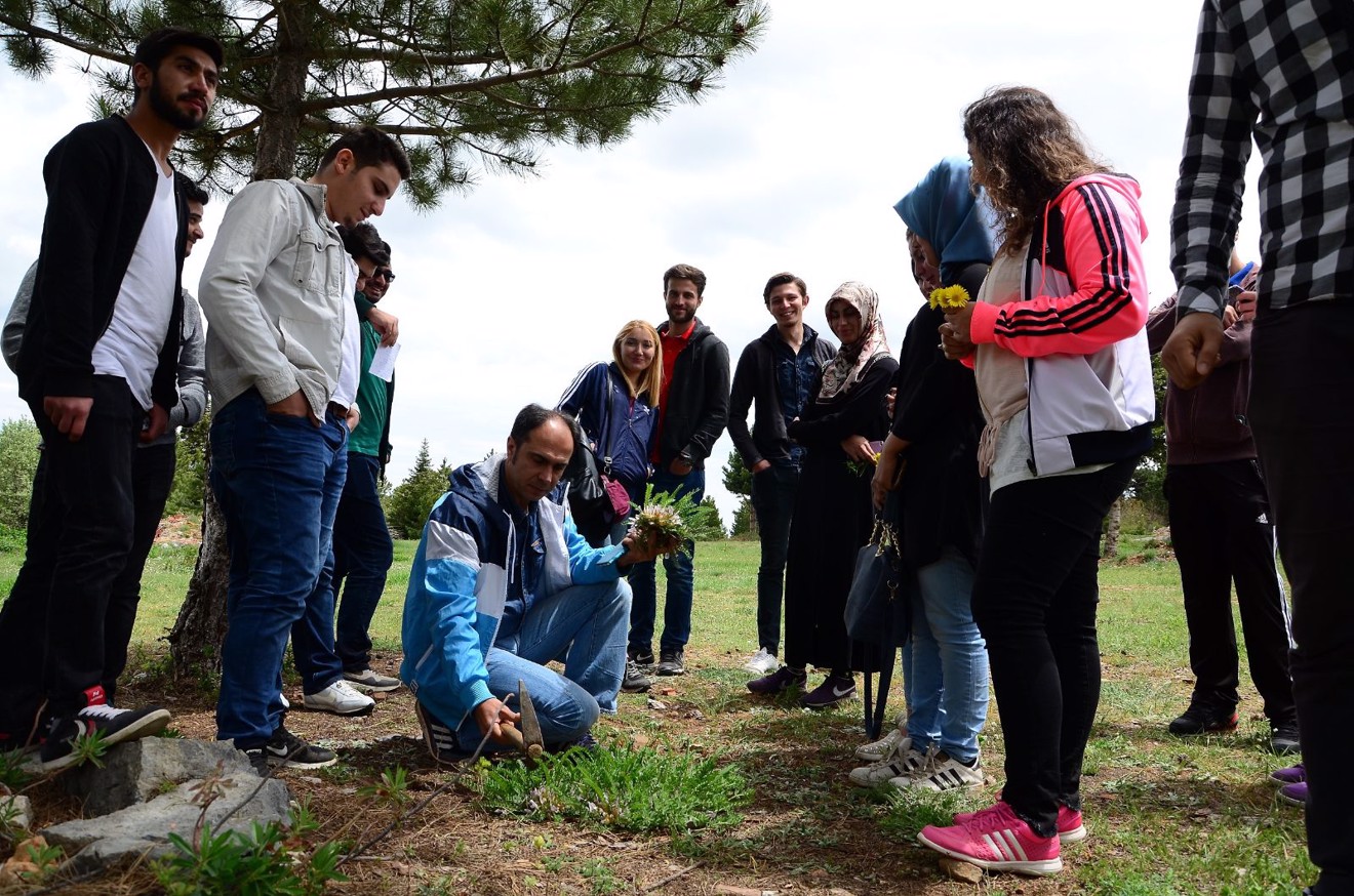 Aygır Pınarını, Gölcük Yaylası ve Kuğulu Park Gezisi