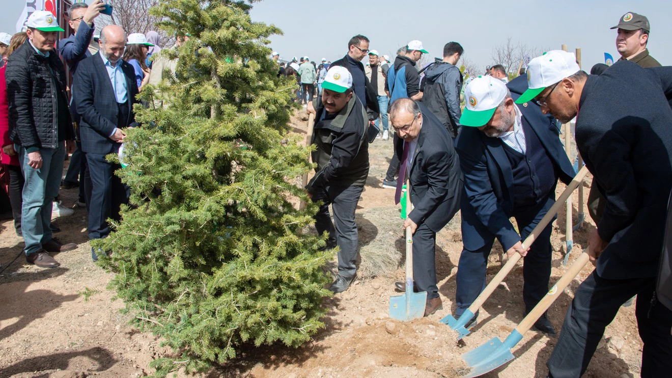 1,500 saplings were planted in Selçuk University