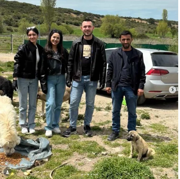 Beyşehir'de Üniversiteli Gençlerden Patili Dostlara Destek