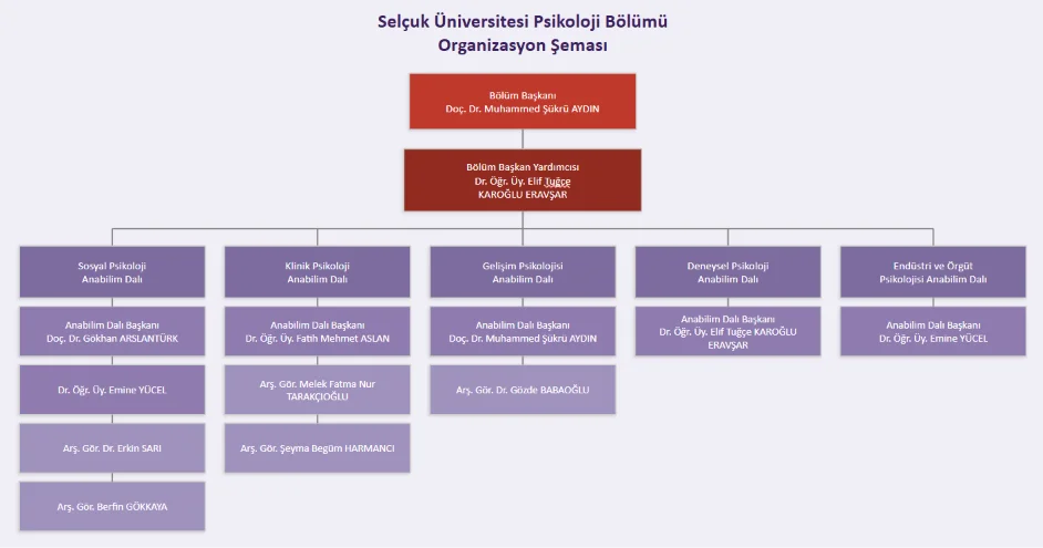 Organizasyon Şeması