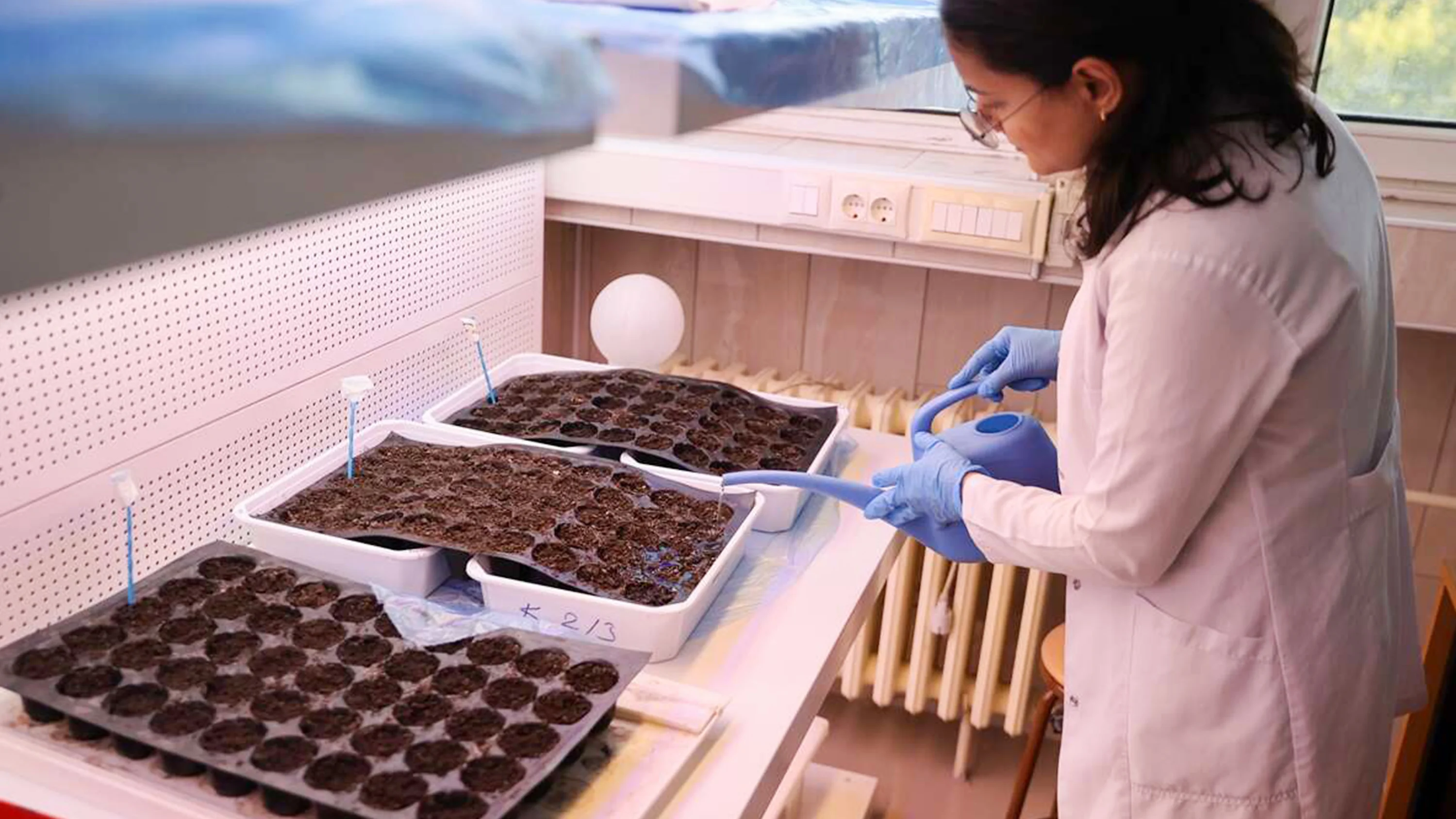 Selçuk Üniversitesinin keşfettiği bakteriler tarımda gübre ve su kullanımını azaltıyor