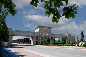 Our University