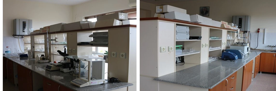 Biyoteknoloji Laboratuvarı