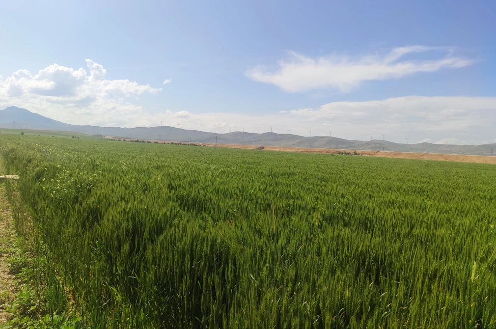 Fotoğraf Galerisi