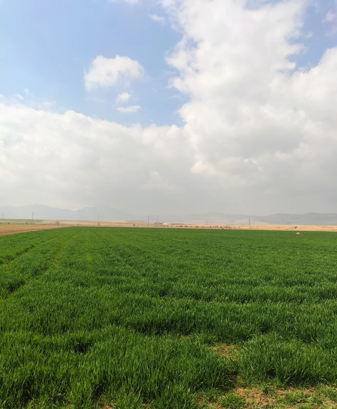 Fotoğraf Galerisi