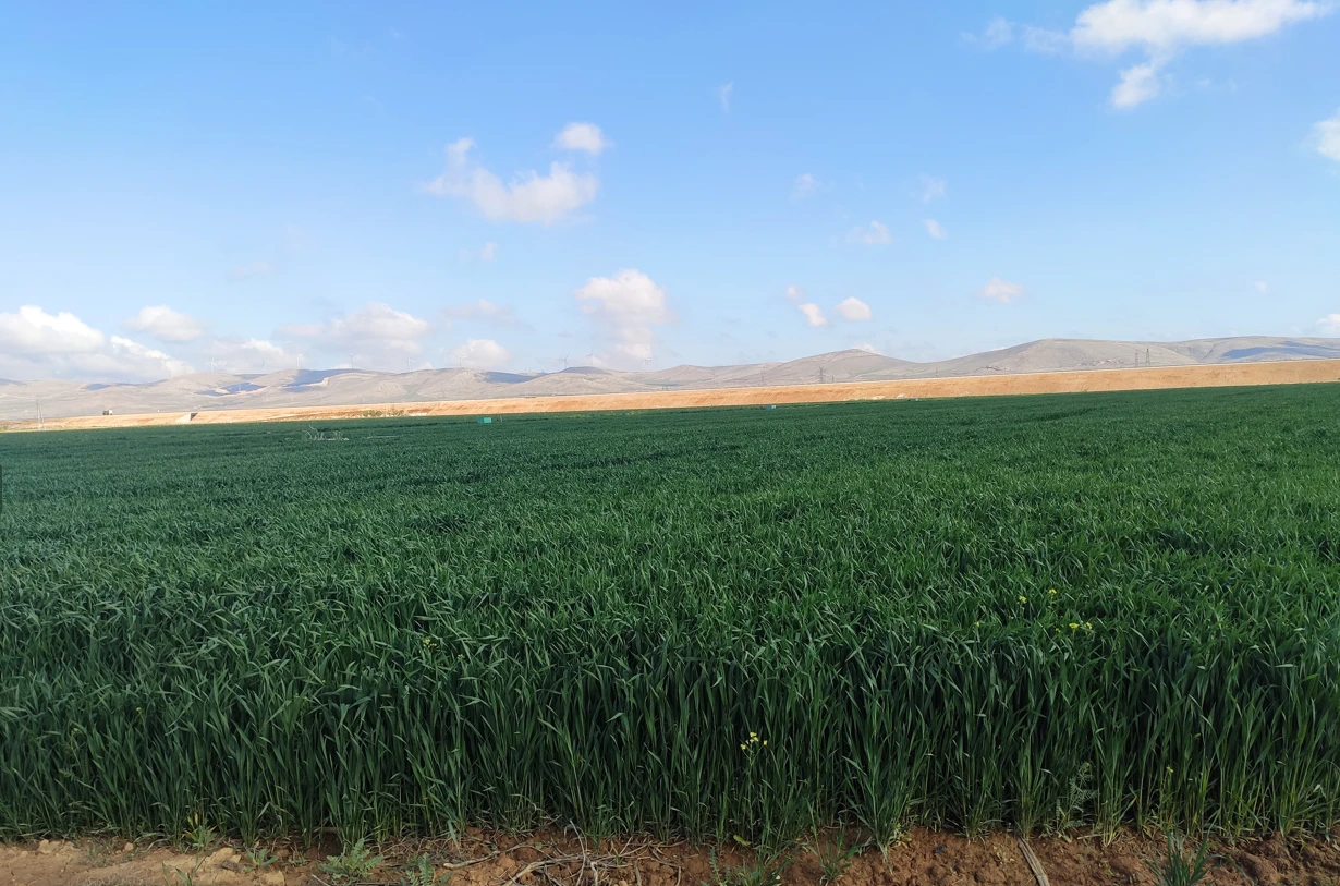 Fotoğraf Galerisi