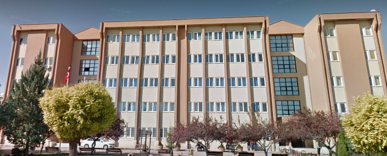 Genel Bakış