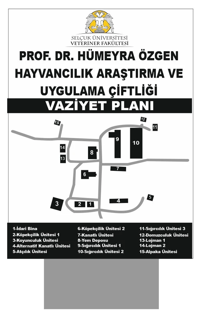 Hakkında