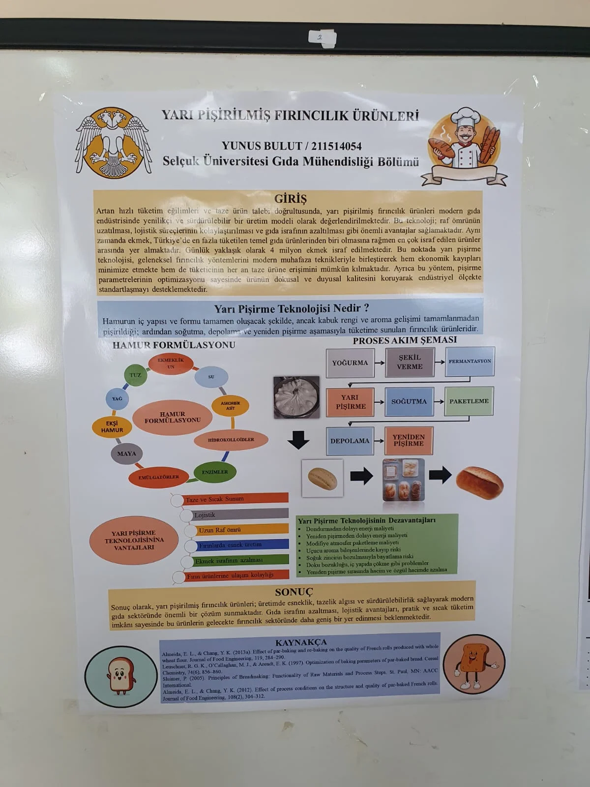 Bölümümüzde Mezuniyet Öncesi Poster Festivali Coşkusu