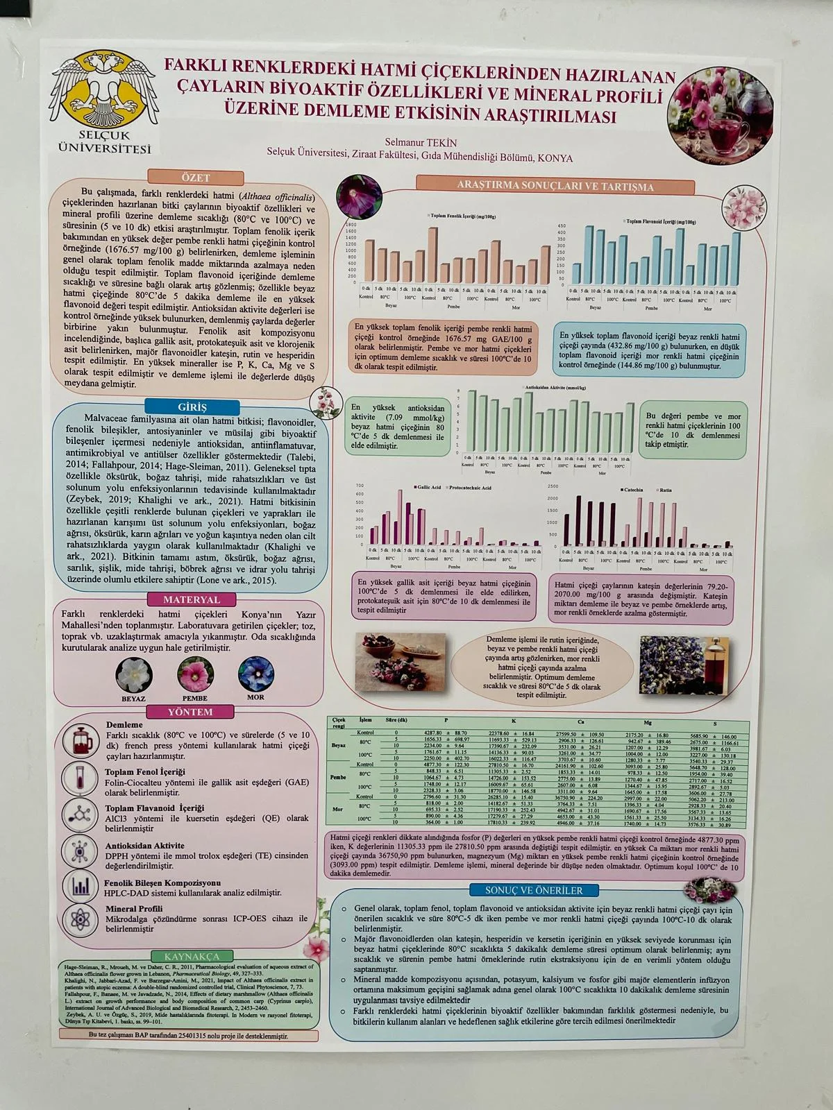 Bölümümüzde Mezuniyet Öncesi Poster Festivali Coşkusu
