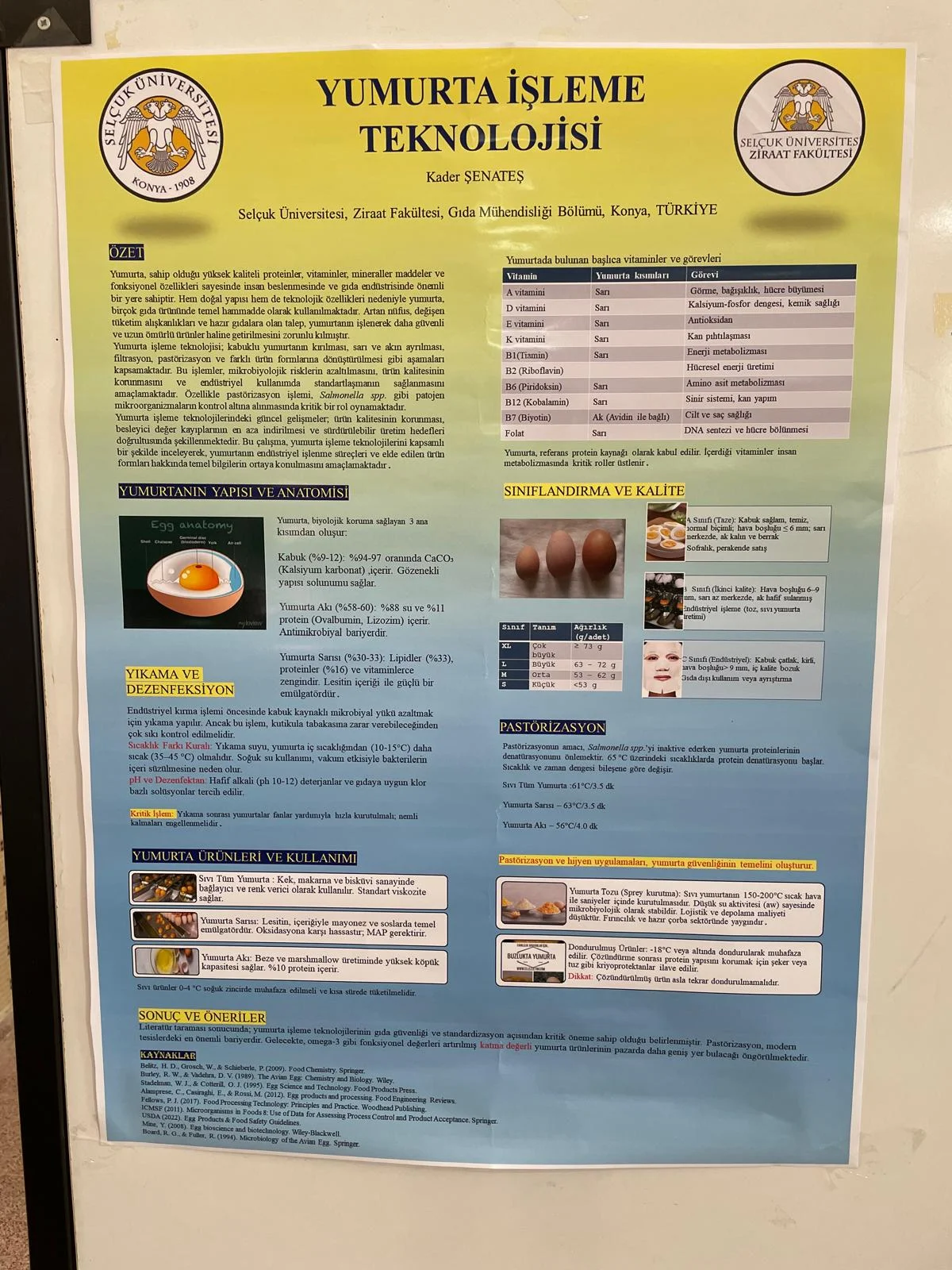 Bölümümüzde Mezuniyet Öncesi Poster Festivali Coşkusu