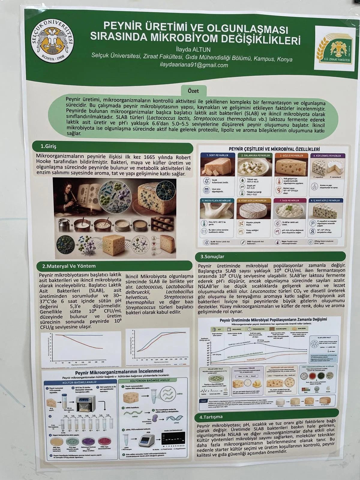 Bölümümüzde Mezuniyet Öncesi Poster Festivali Coşkusu
