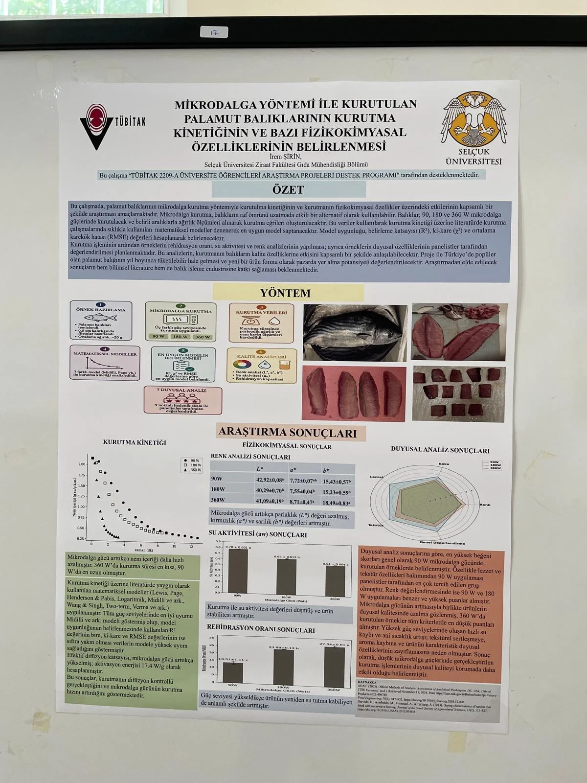 Bölümümüzde Mezuniyet Öncesi Poster Festivali Coşkusu