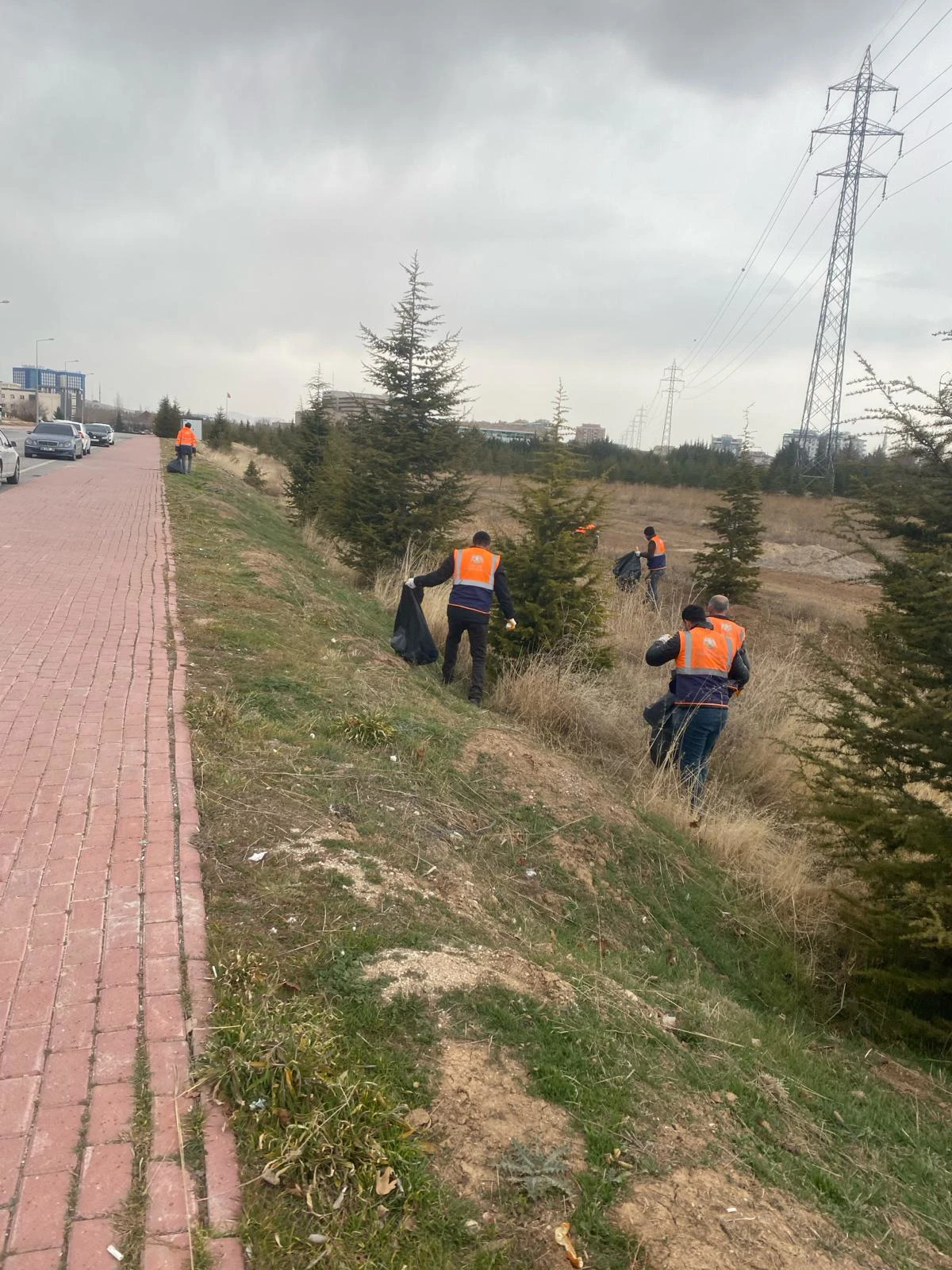 Temiz Alan/Yeşil Yerleşke Çalışmaları Hız Kesmeden Devam Ediyor