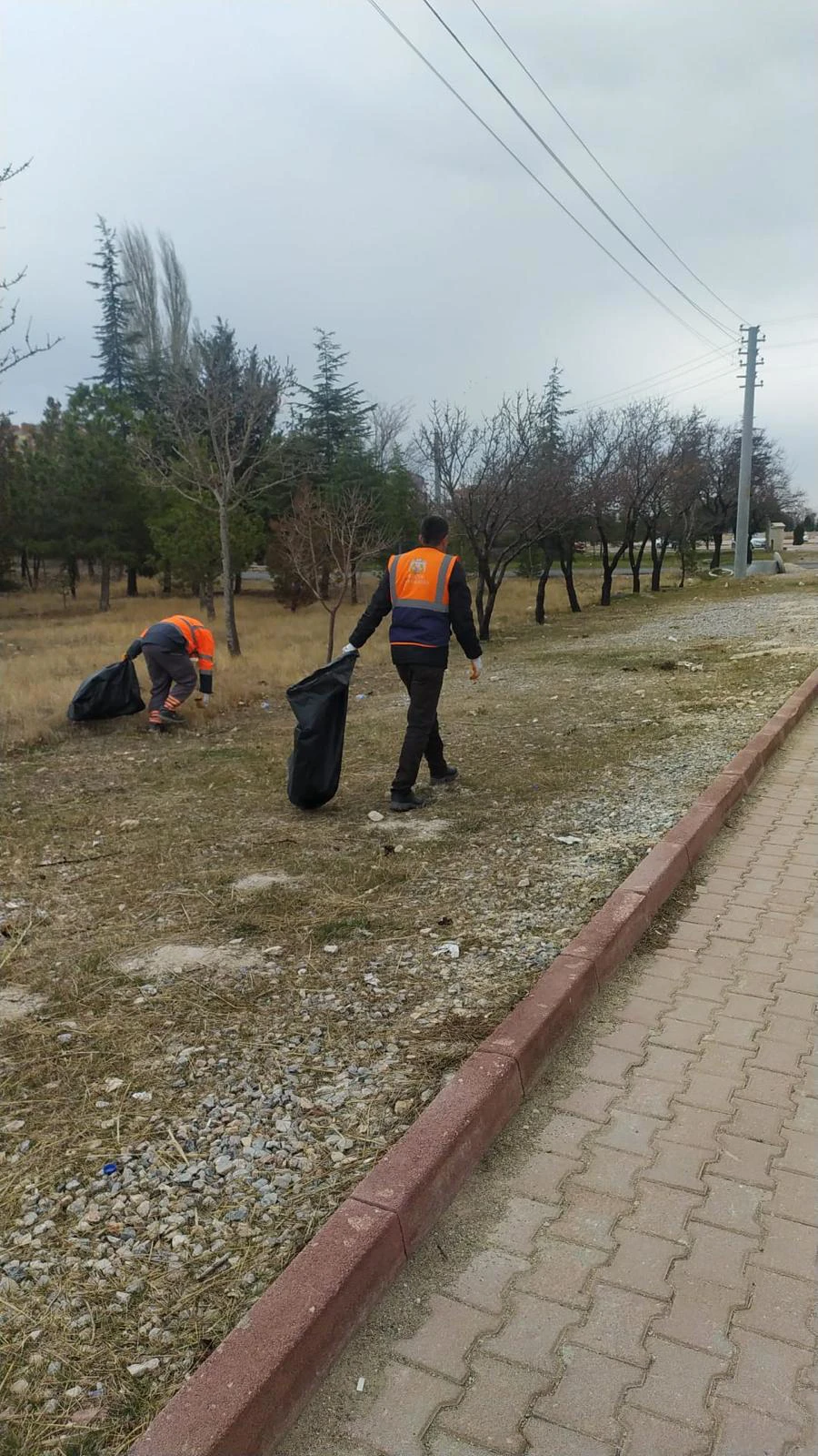 Temiz Alan/Yeşil Yerleşke Çalışmaları Hız Kesmeden Devam Ediyor