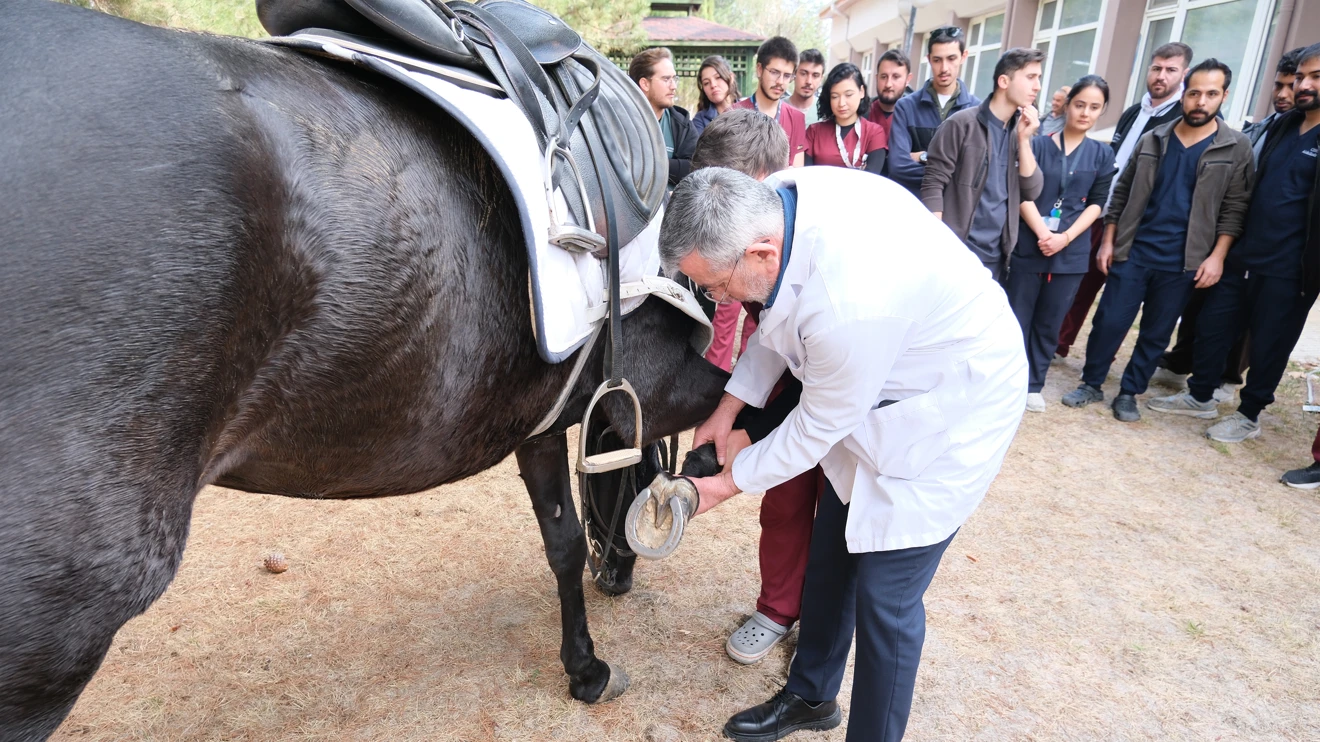 Atlı Polis Birliği’nin atlarına Selçuk Üniversitesinden sağlık desteği