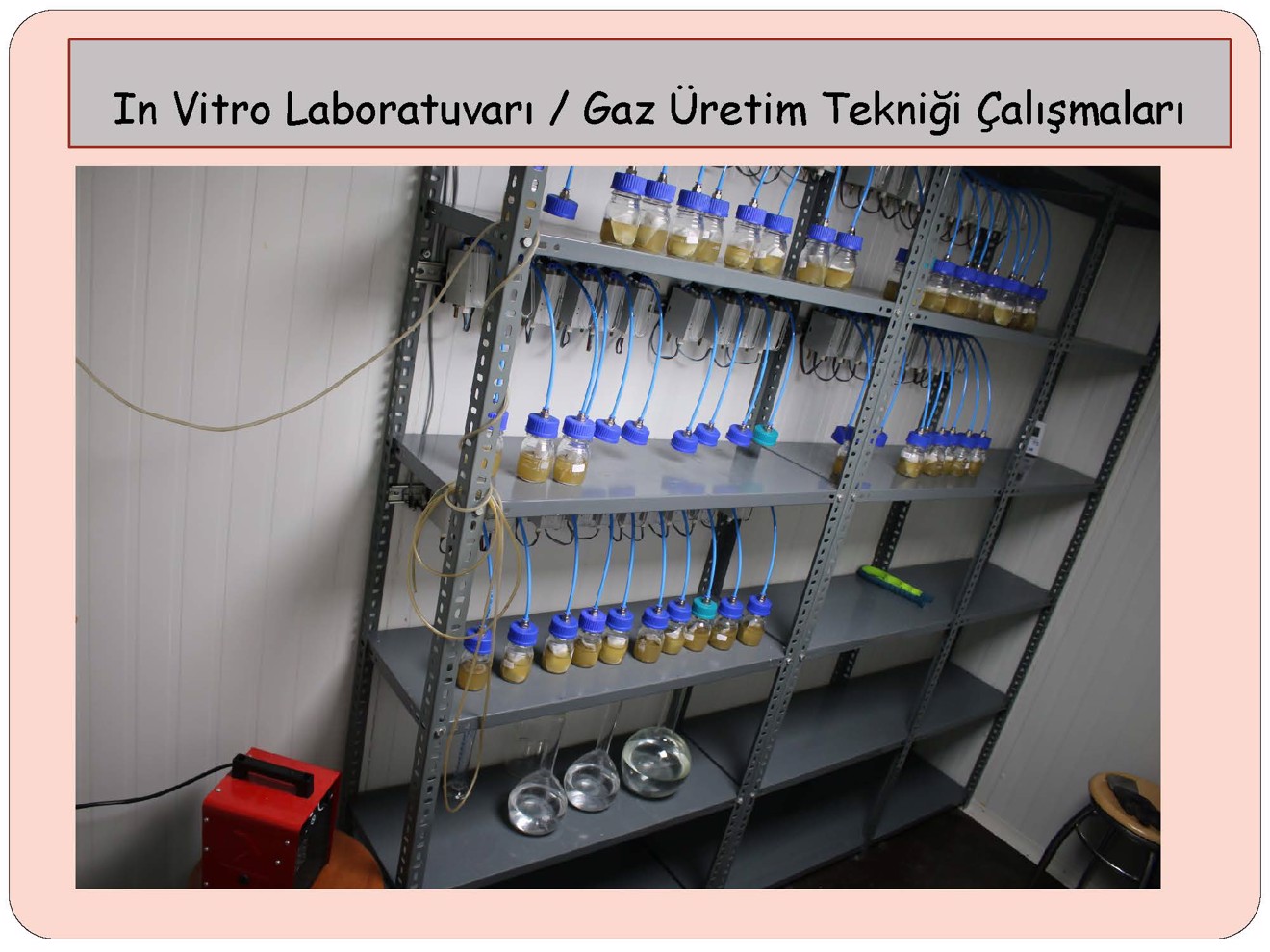 Laboratuvar İmkanlarımız