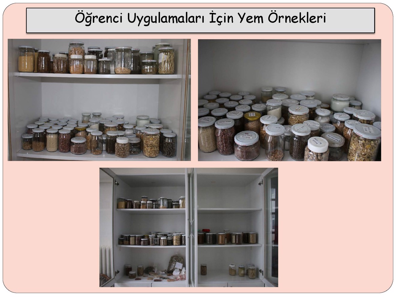 Laboratuvar İmkanlarımız