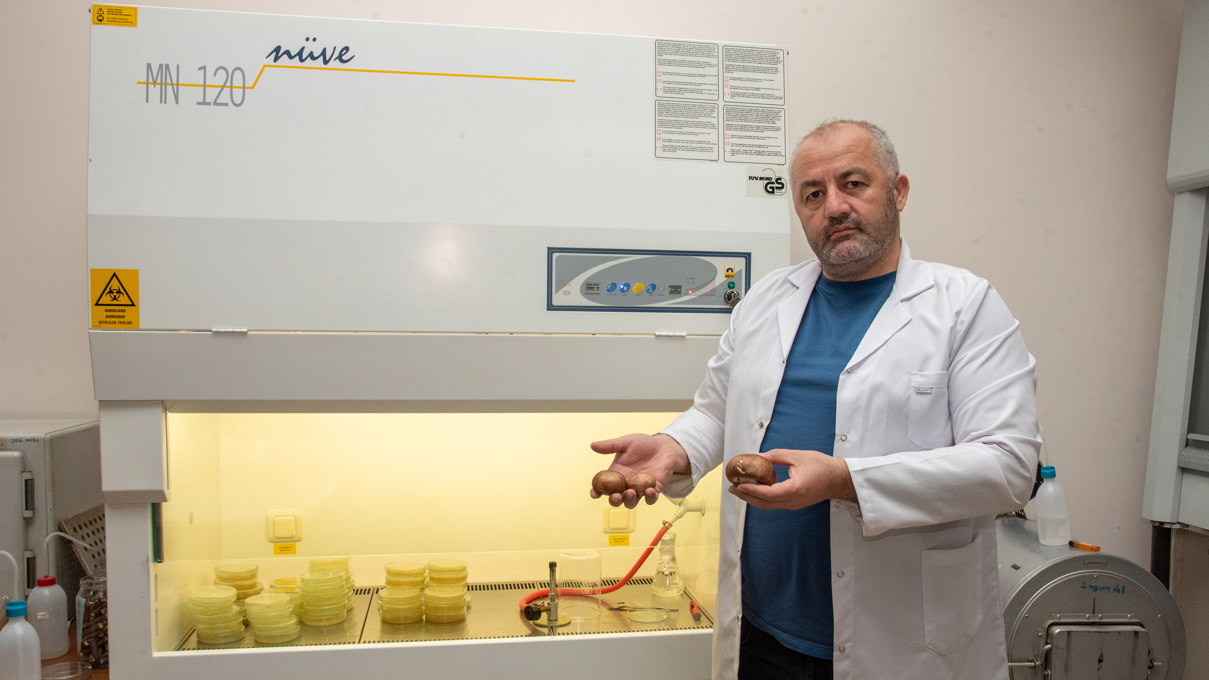 Türkiye’nin zengin mantar çeşitliliği, Selçuk Üniversitesi Fungaryumu’nda