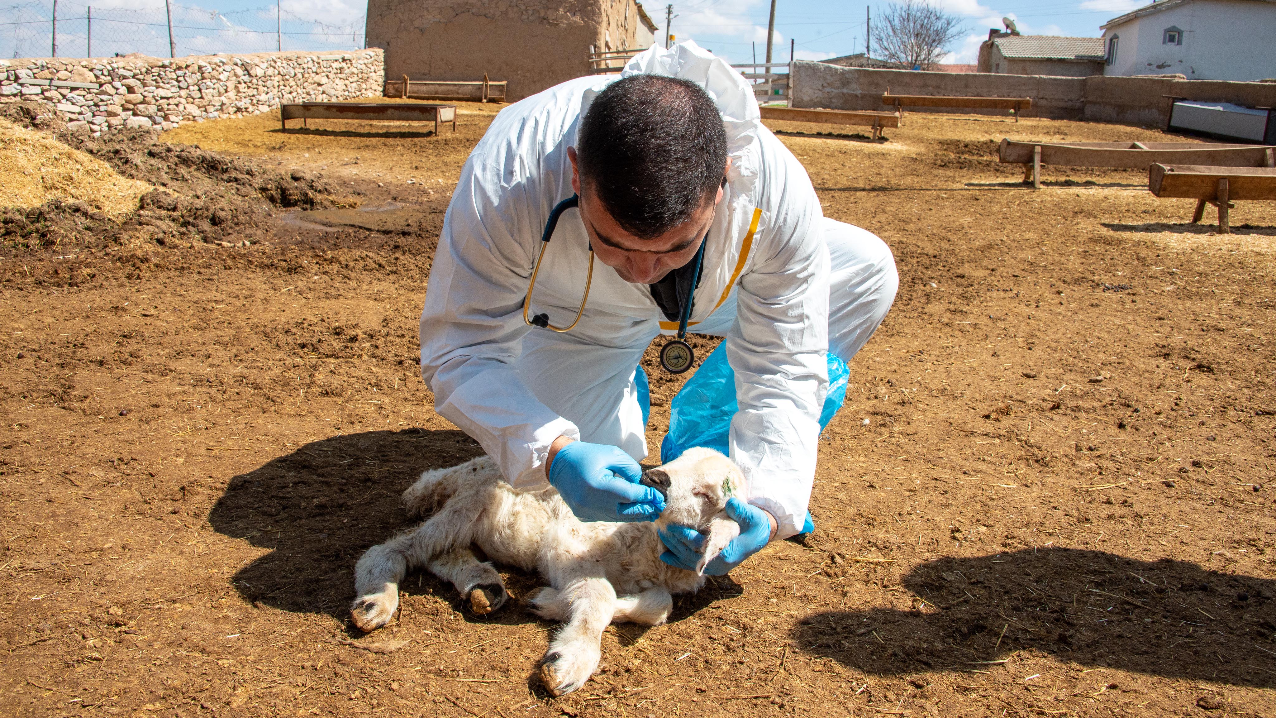 İyilik Sağlık Hareketi Yağlıbayat Mahallesi’nde vatandaşlarla buluştu