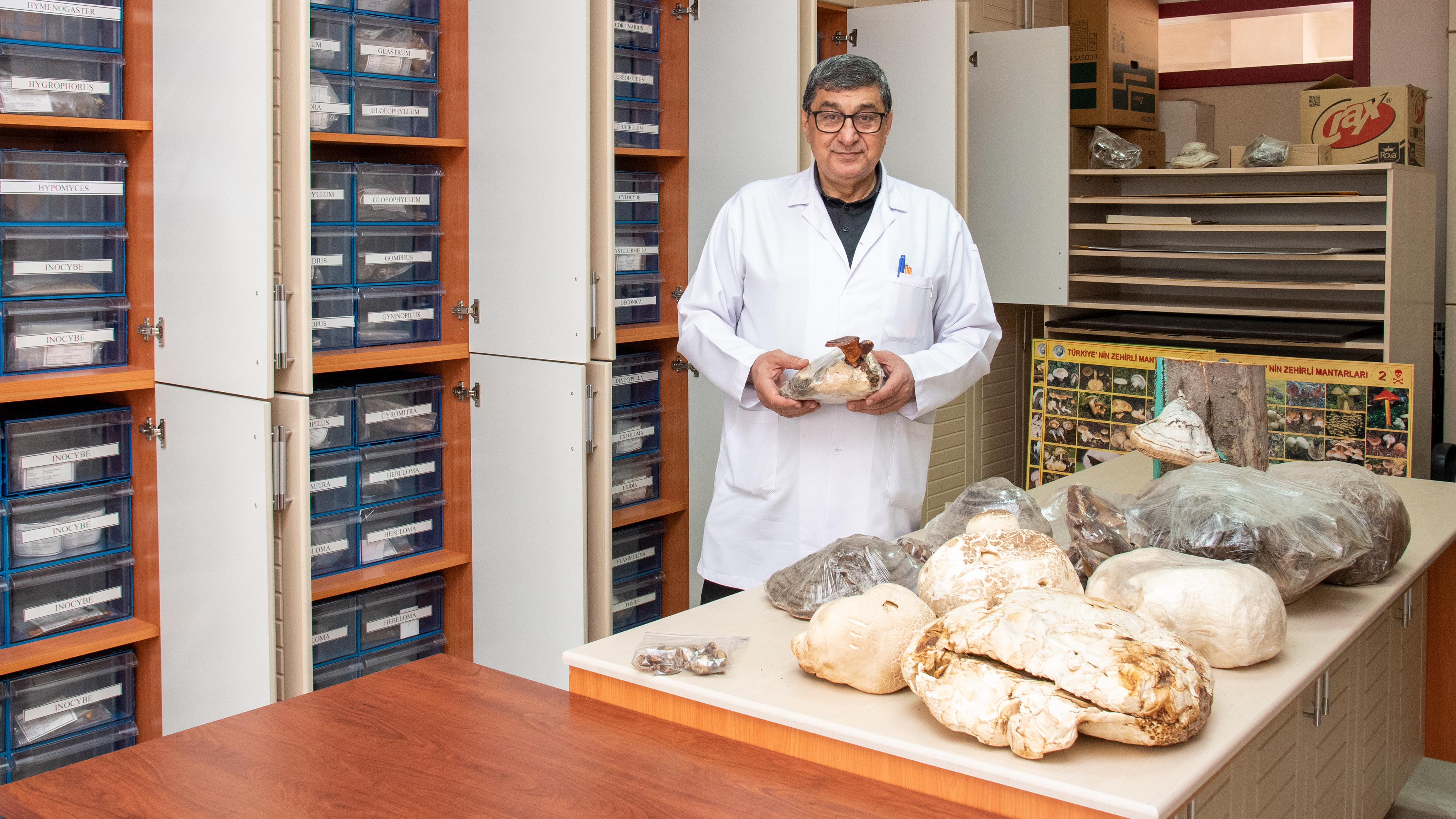 Türkiye’nin zengin mantar çeşitliliği, Selçuk Üniversitesi Fungaryumu’nda